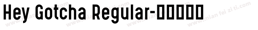 Hey Gotcha Regular字体转换